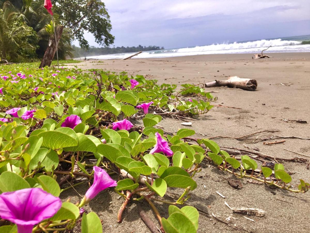 Coral Hill Bungalows Cahuita Bagian luar foto