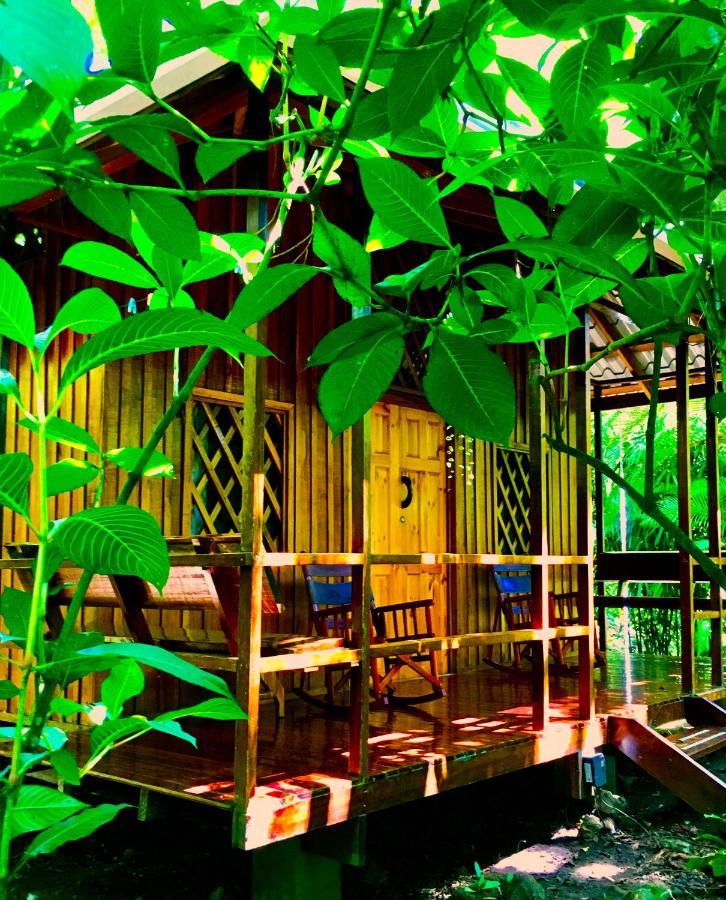 Coral Hill Bungalows Cahuita Bagian luar foto