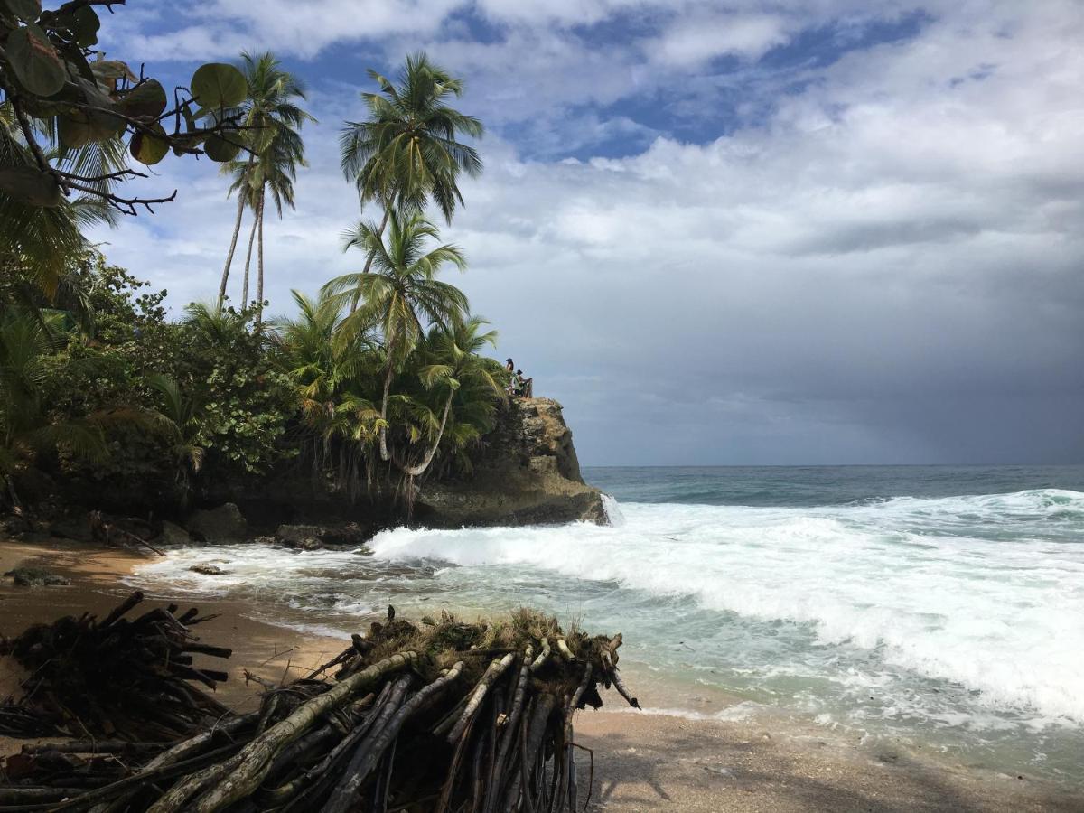 Coral Hill Bungalows Cahuita Bagian luar foto