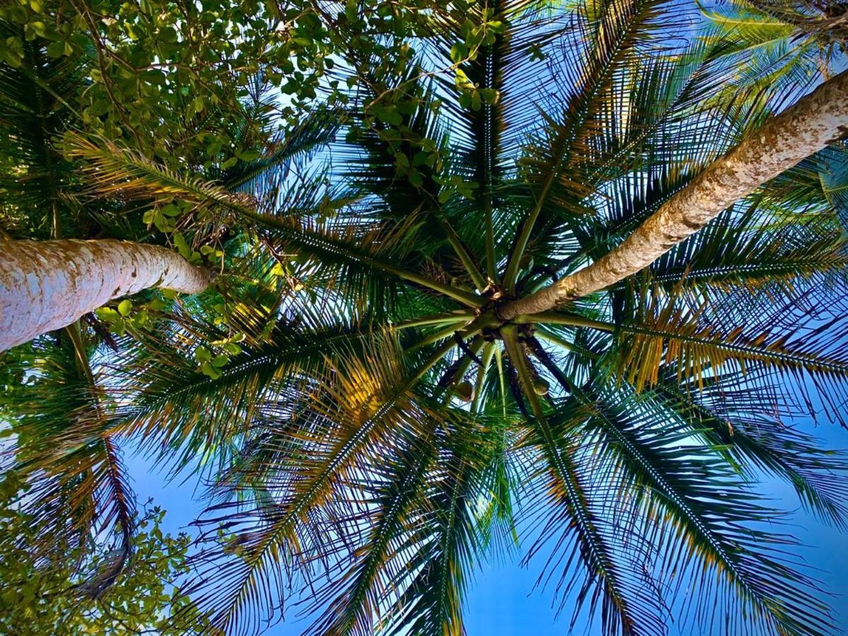 Coral Hill Bungalows Cahuita Bagian luar foto