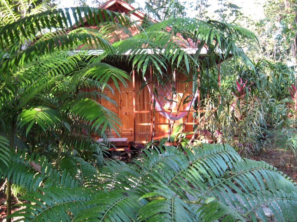 Coral Hill Bungalows Cahuita Bagian luar foto