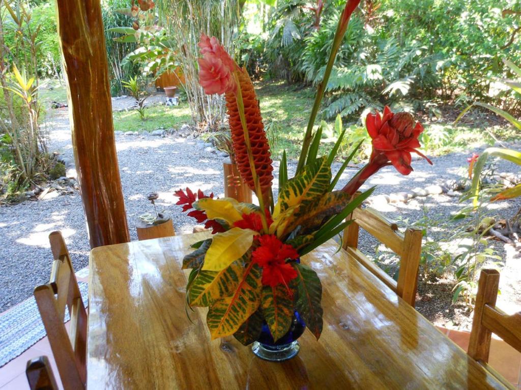 Coral Hill Bungalows Cahuita Bagian luar foto