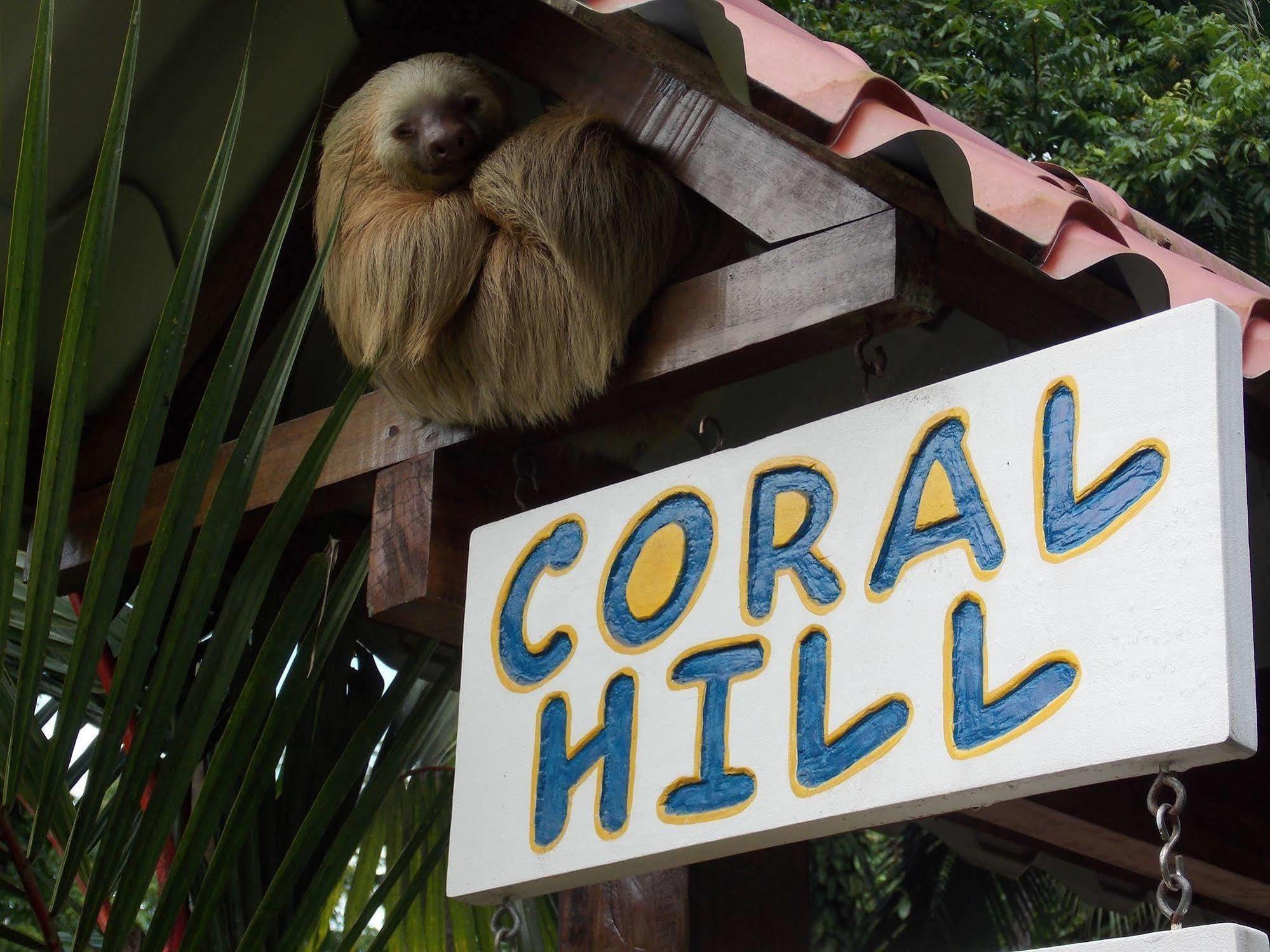 Coral Hill Bungalows Cahuita Bagian luar foto