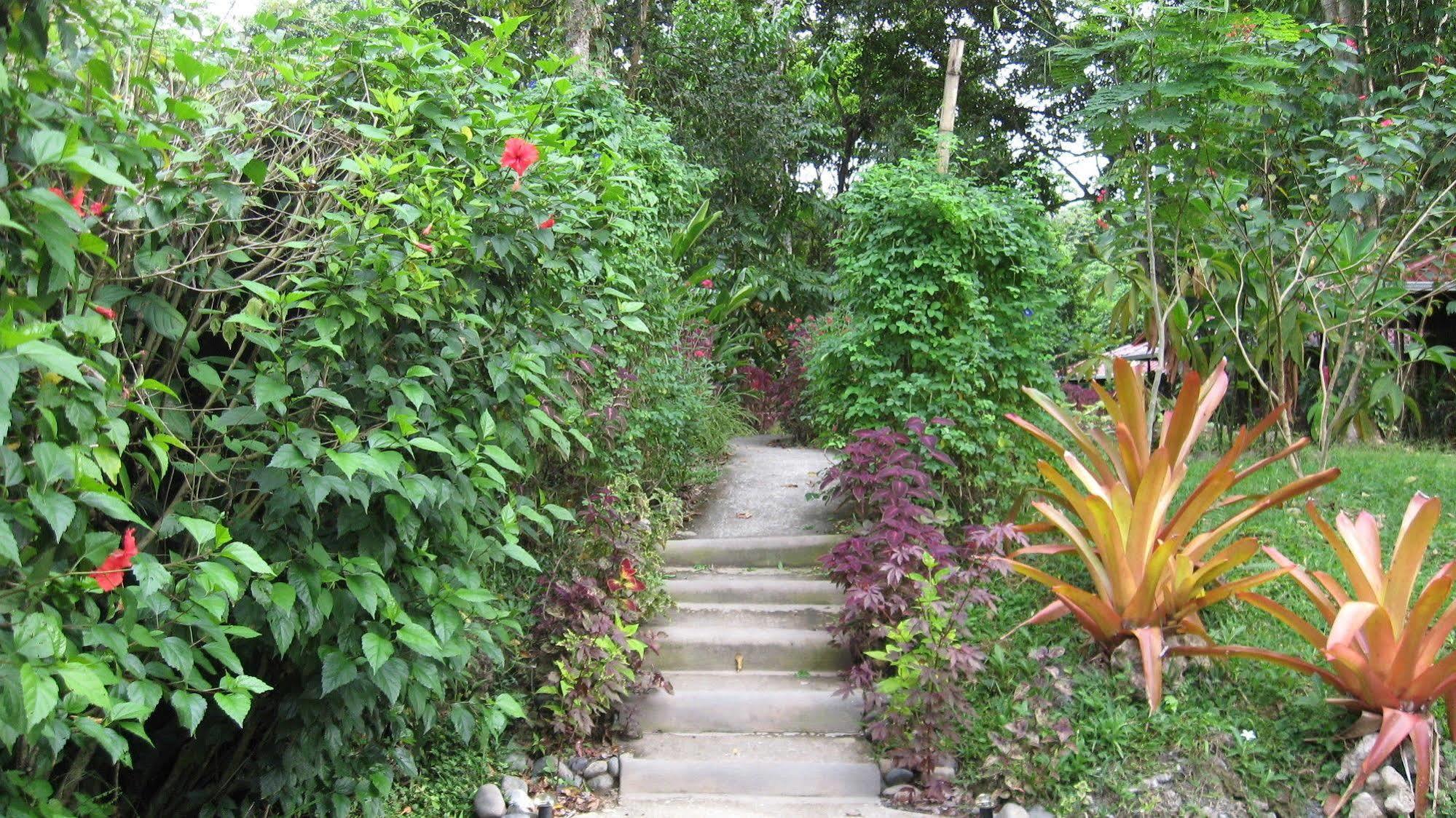 Coral Hill Bungalows Cahuita Bagian luar foto