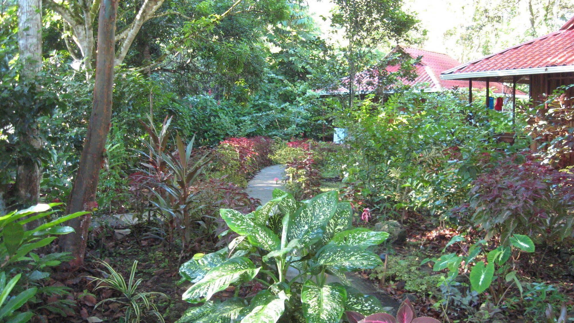 Coral Hill Bungalows Cahuita Bagian luar foto