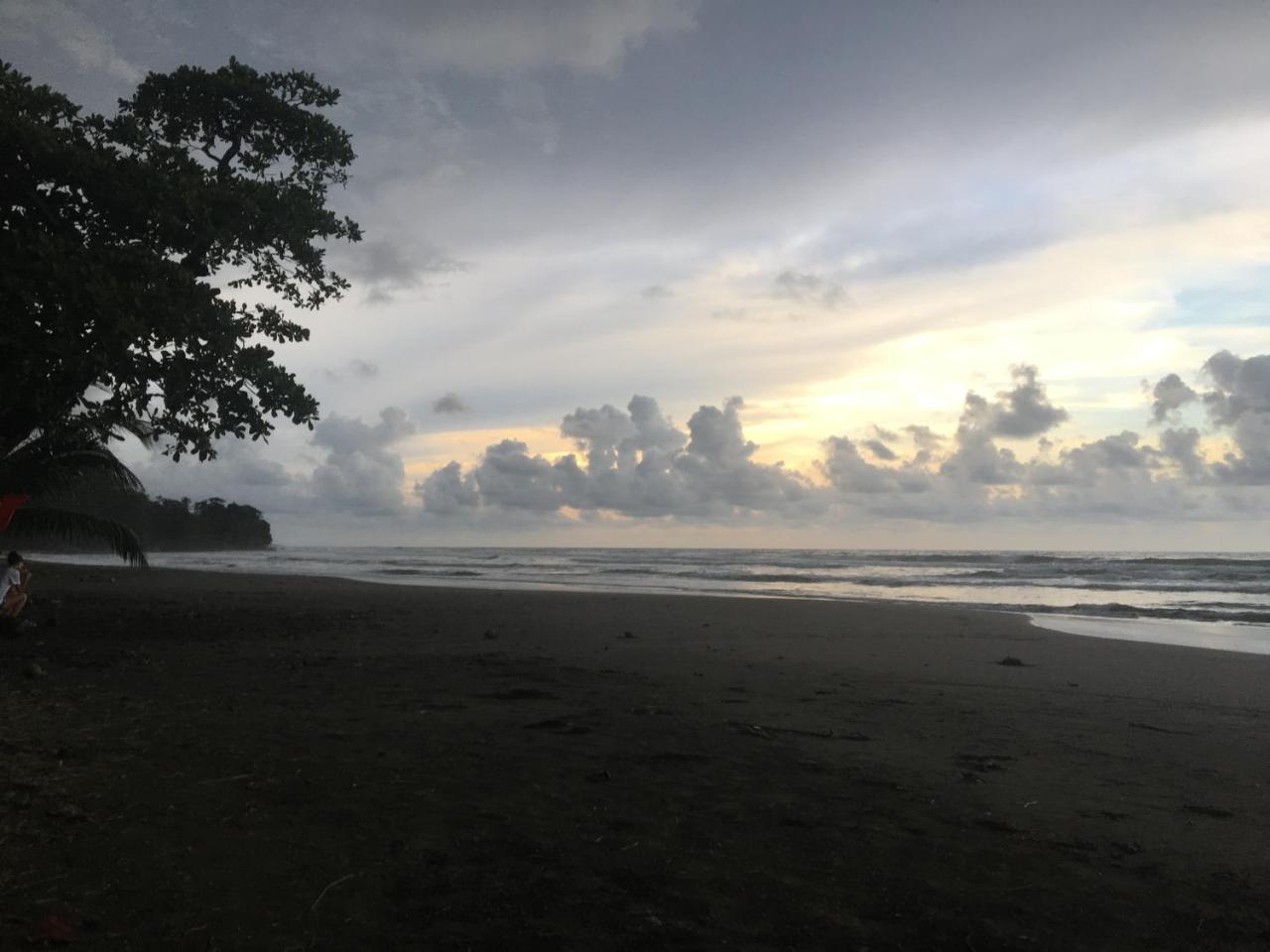 Coral Hill Bungalows Cahuita Bagian luar foto