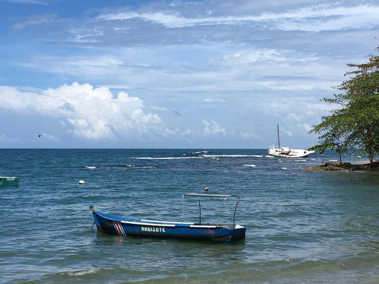 Coral Hill Bungalows Cahuita Bagian luar foto