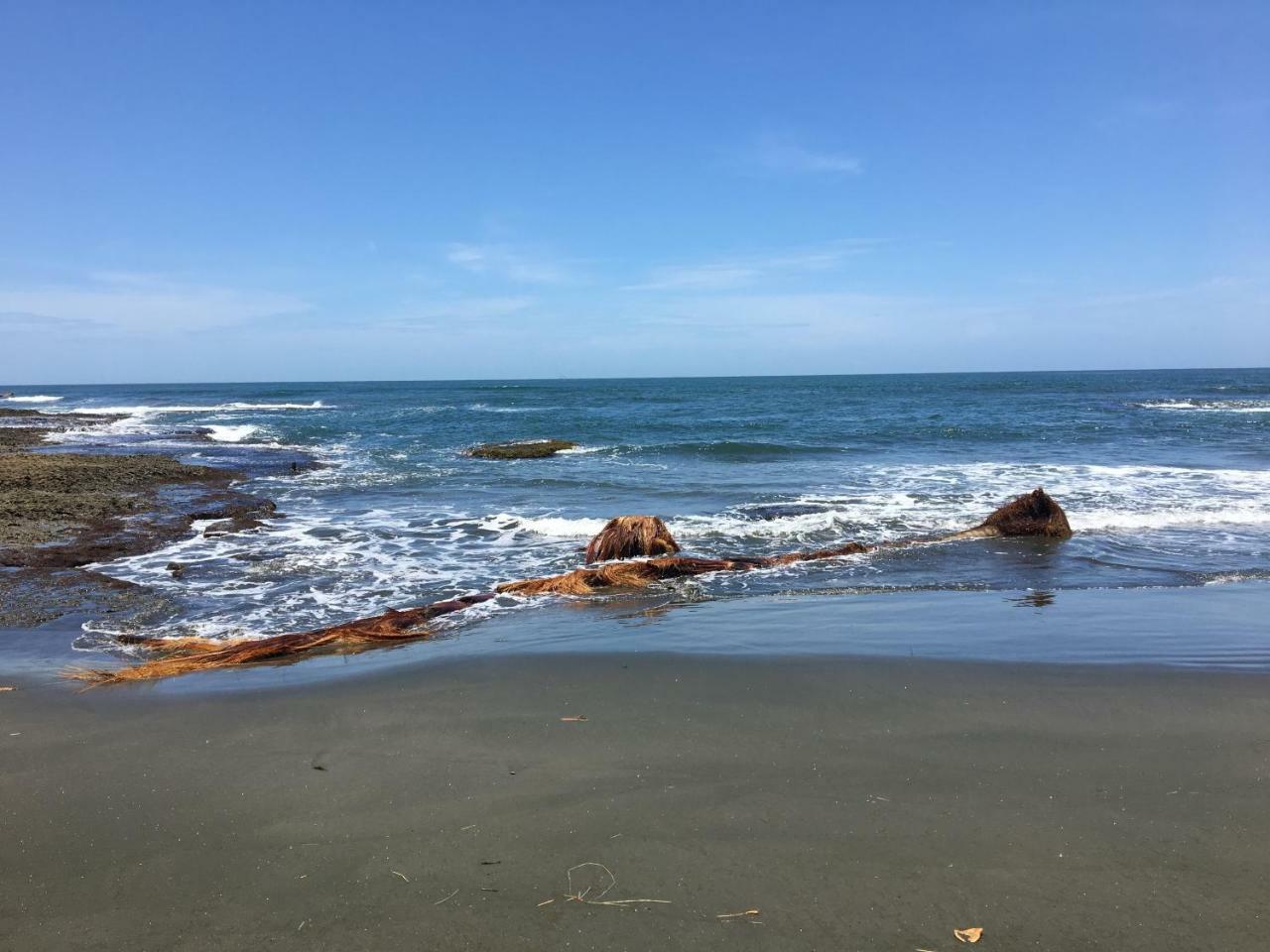 Coral Hill Bungalows Cahuita Bagian luar foto